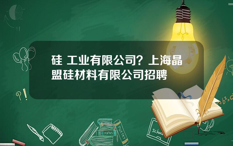 硅 工业有限公司？上海晶盟硅材料有限公司招聘